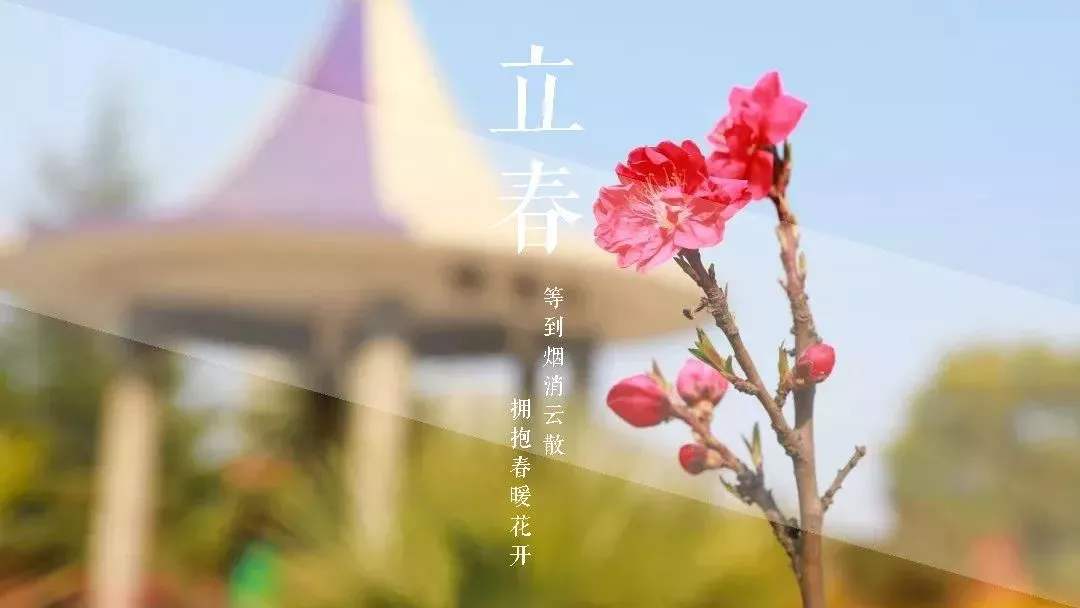 1588747840184789.jpg 齊普生新年致辭.jpg